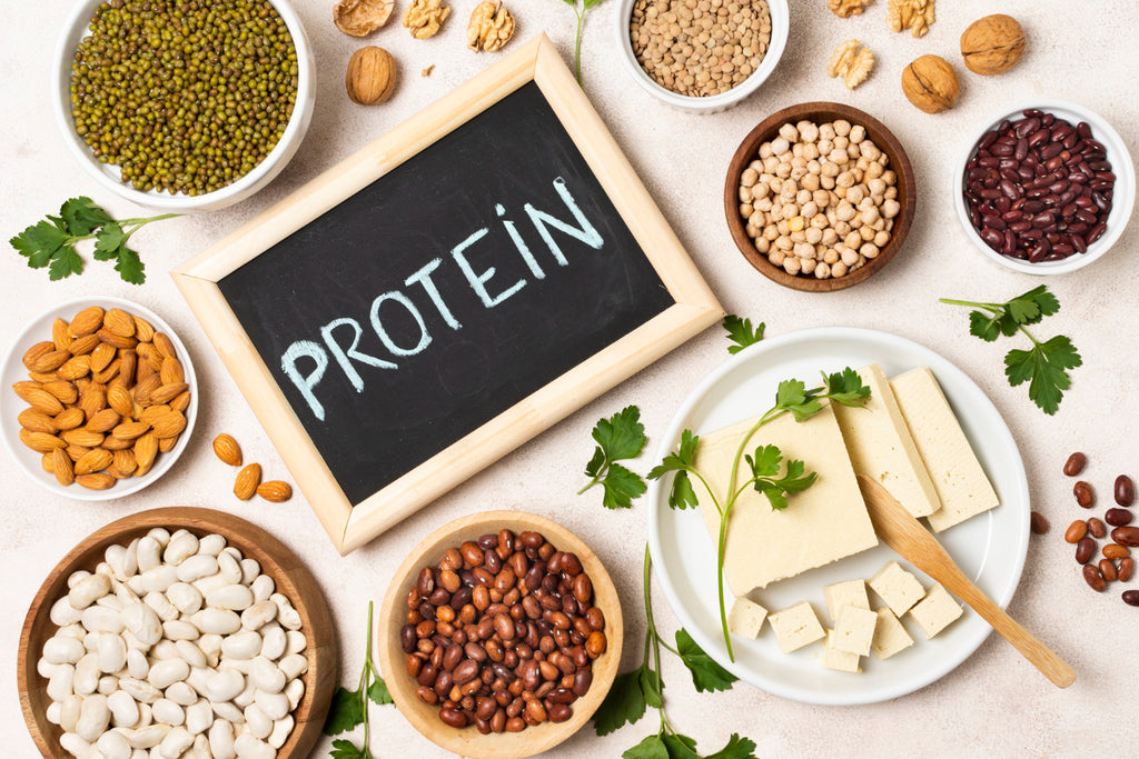 Protein Absorption Everything You Should Know About RiteBite Max Protein