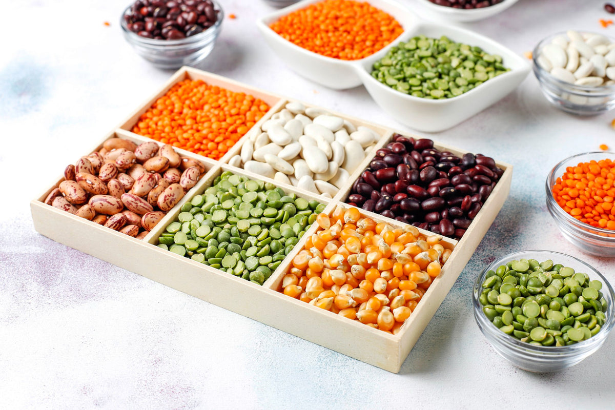 Single Legume 9 Healthiest Benefits of Eating Pulses and Legumes – RiteBite Max Protein