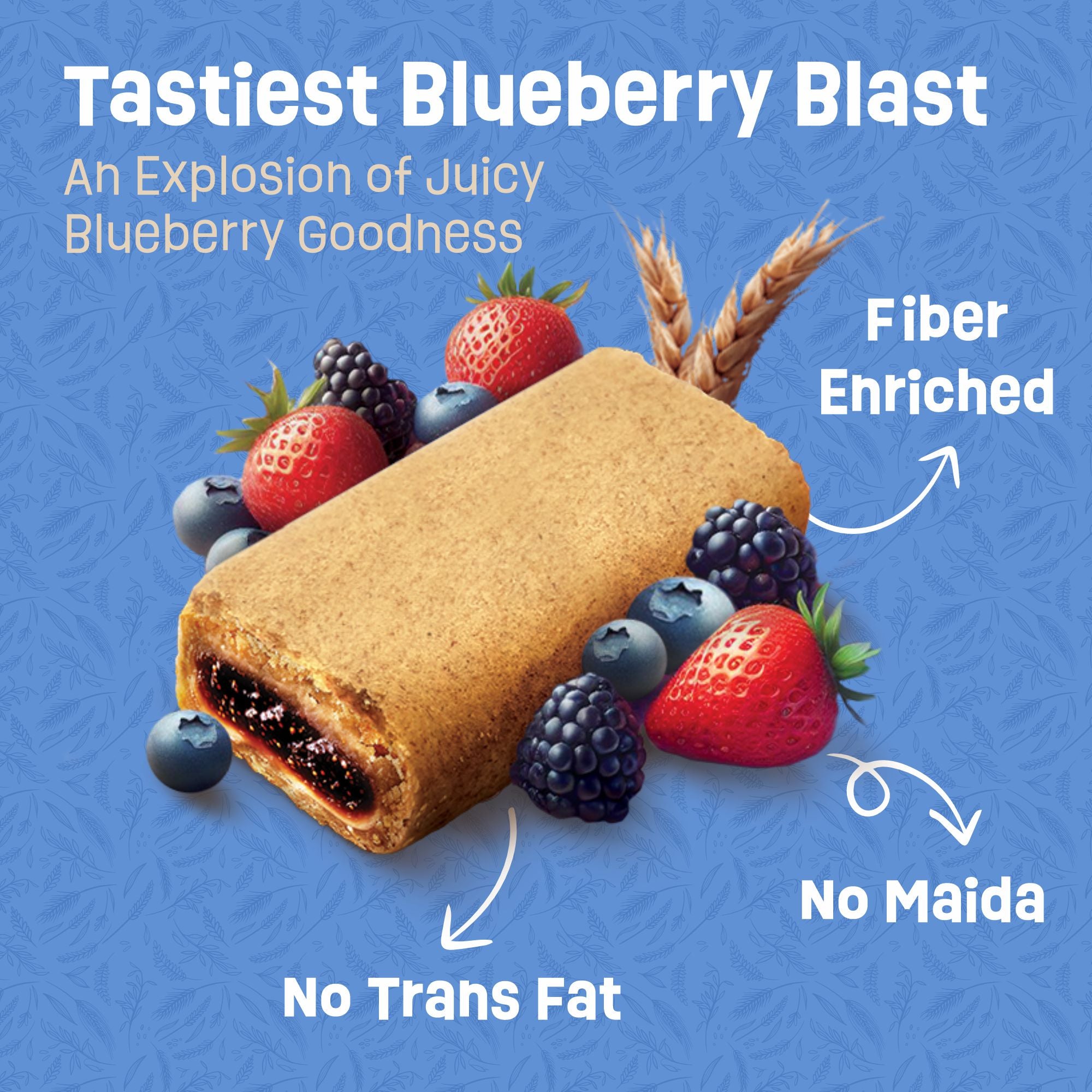 Ritebite Wellness Blueberry Blast