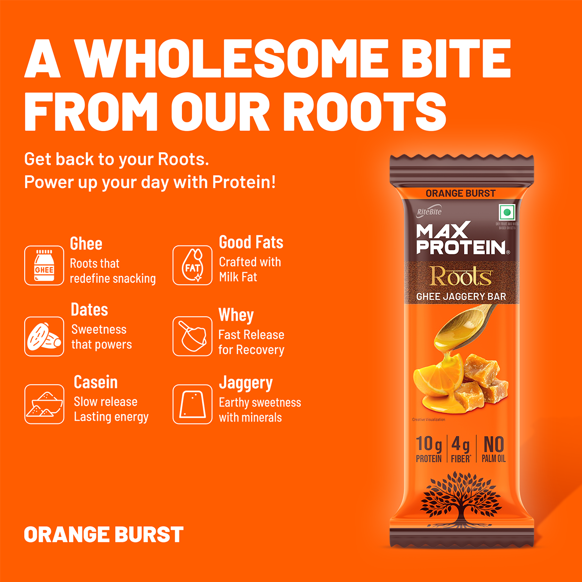 Max Protein Roots – Orange Burst Protein Bar – RiteBite Max Protein