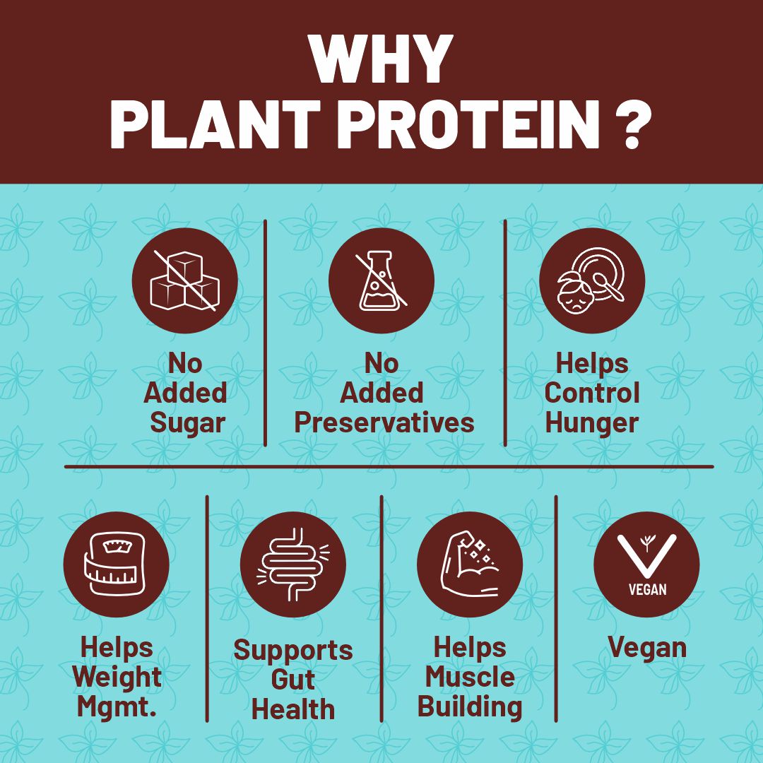 Max Protein Plant Protein - Creamy Vanilla
