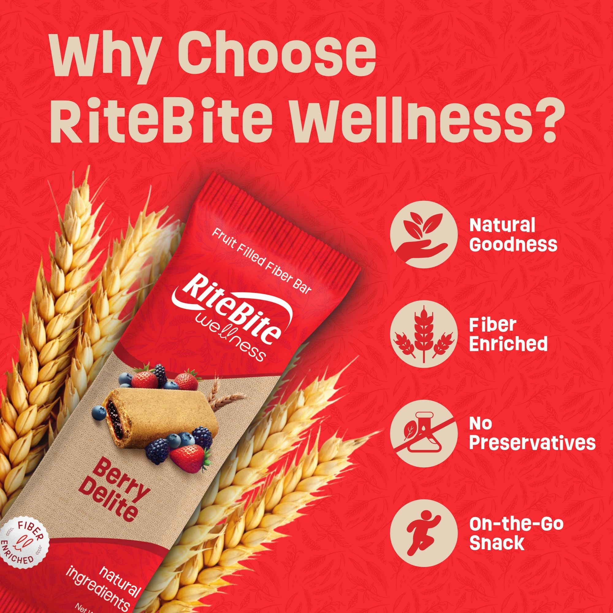 RiteBite Wellness Berry Delite – RiteBite Max Protein