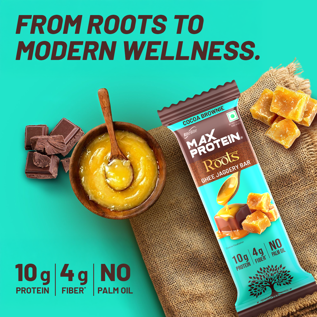 Max Protein Roots – Cocoa Brownie Protein Bar – RiteBite Max Protein